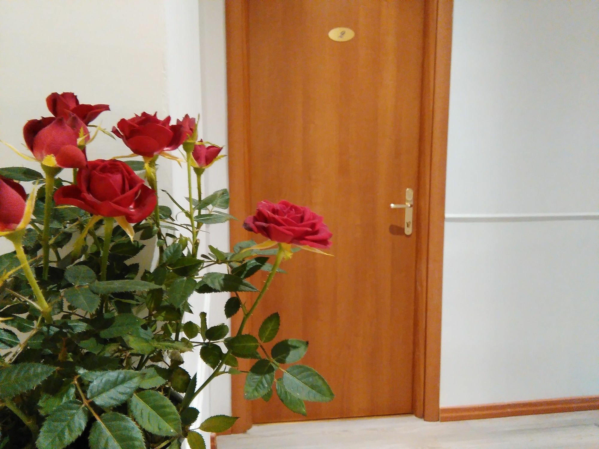 Villa Borghese Guest House Rom Eksteriør billede